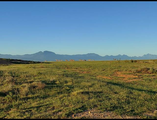 1,503M² VACANT LAND FOR SALE IN OUTENIQUASBOSCH